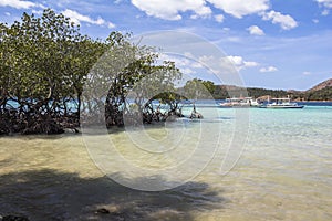 Beautiful water on philippine beach near Coron