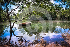 Peaceful Waters in Paradise. Pulau Ubin, Singapore. photo