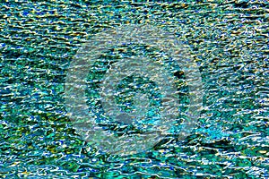 Water reflections in green and turquoise colors. All green and blue colors reflecting on water. Bright and shiny reflection. photo