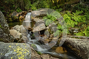 Beautiful water stream in PoÃ§o da Cilha waterfall, Manhouce, Sao Pedro do Sul, Portugal. Long exposure smooth effect. Mountain photo