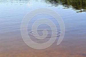 Beautiful water surfaces at a lake with reflections of sunlight and surrounding landscape