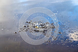 Beautiful water waves and ripples from a drop falling into a water surface of a lake