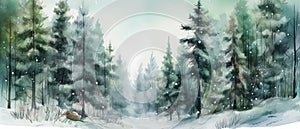 Beautiful watercolor coniferous forest illustration, Christmas fir trees, winter nature, holiday background