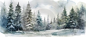 Beautiful watercolor coniferous forest illustration, Christmas fir trees, winter nature, holiday background