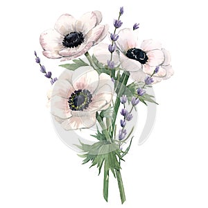 Beautiful watercolor floral bouquet with anemone and lavanda flowers. Stock illustration.