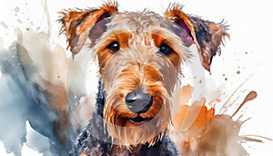 Beautiful watercolor illustration black brown Airedale Terrier breed dog, puppy portrait, cute home pet