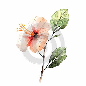 Beautiful Watercolor Painted Flower Cutout on white background Generative AI