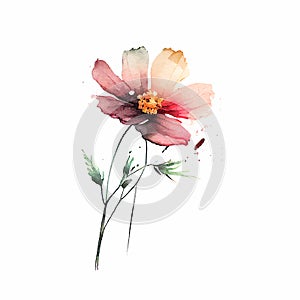 Beautiful Watercolor Painted Flower Cutout on white background Generative AI