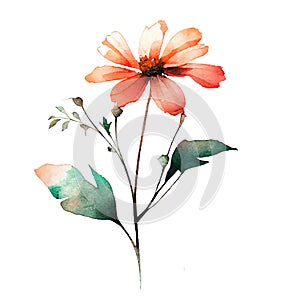 Beautiful Watercolor Painted Flower Cutout on white background Generative AI