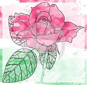Beautiful watercolor rose. Hand drawn card.