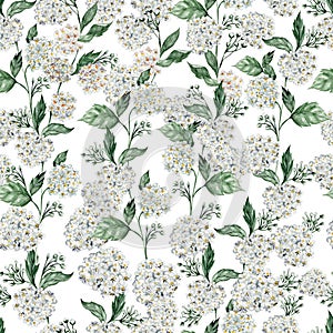 Beautiful Watercolor  seamless pattern with spring spirea flowers and green leaves.