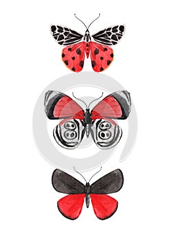 Beautiful watercolor three red butterfly set. Colorful summer insects. Hand drawn clip art. Beauty of nature.