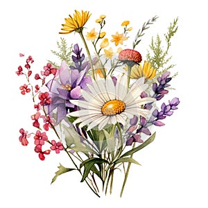 beautiful watercolor wildflowers bouquet with multiple flowersWatercolor for decoration