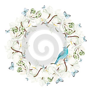 Beautiful watercolor wreath with white orchid flowers, butterflies and blue bird