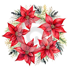 Beautiful watercolour red poinsettia Christmas star flower festive wreath frame border