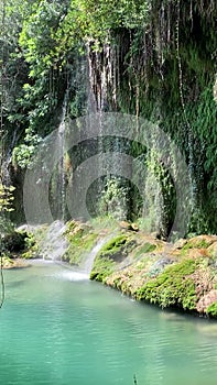 Beautiful Waterfal springs in nature