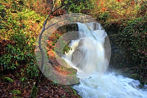 Beautiful Waterfall in Autumn along Charlie`s Trail, Hatley Castle Park, Victoria, Vancouver Island, British Columbia, Canada