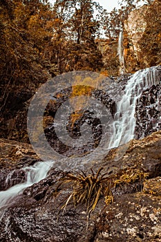 Beautiful waterfall in autumnal forest