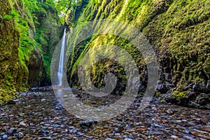 Beautiful waterfall and canyon in Oneonta Gorge trail, Oregon.