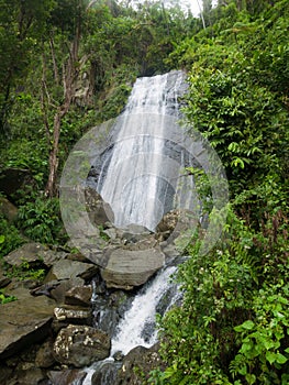 Beautiful waterFall in El Yunque, Puerto Rico, USA