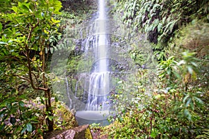 Waterfall on Levada Caldeirao Verde, Madeira, Portugal photo