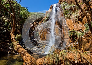 Beautiful waterfall falls from a rusty color cliff in an evergreen forest behind a pine tree. New Caledonia, Melanesia, Oceania.