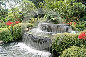 Beautiful Waterfall feature in Singapore Botanic Garden