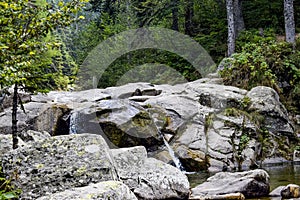 A beautiful waterfall in the forest