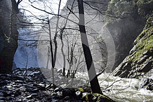 A beautiful waterfall in the forest