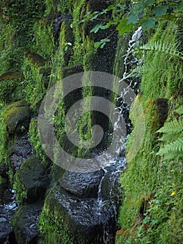 Beautiful waterfall in the forest with an interesting background and nice colors