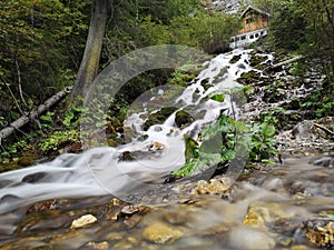 Beautiful waterfall in the forest photo