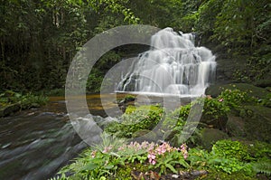 Beautiful waterfall in the forest of Thailand.