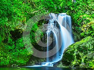 Beautiful waterfall in the green natural forest of the Vintgar Gorges Park