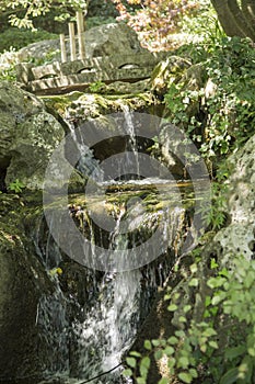 Beautiful waterfall in Japanese garden