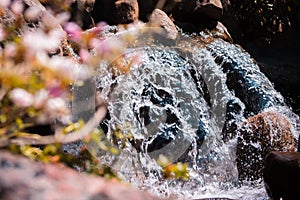 Beautiful waterfall in the japanese gardens at the Frederik Meijer Gardens in Grand Rapids Michigan photo