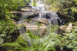Beautiful waterfall in the jungle.