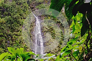 Beautiful waterfall in the jungle, Maui, Hawaii