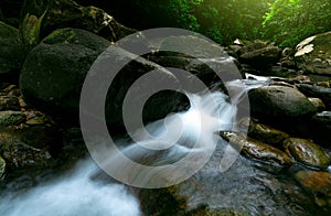 Beautiful waterfall in jungle. Waterfall in tropical forest with green tree and sunlight. Waterfall is flowing in jungle. Nature