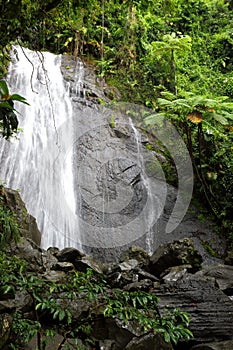 The beautiful waterfall at La Coca in the Puerto Rico rain forest