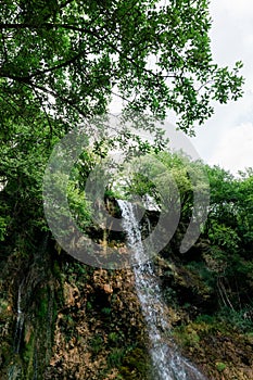 Beautiful waterfall in lush green forest