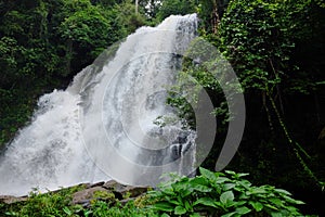 Beautiful Waterfall on the mountain and stream flowing on the rock of tropical rain forest in national park at Thailand