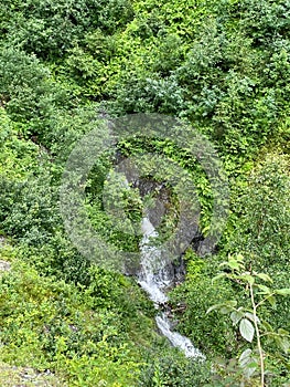 beautiful waterfall next to verty green grass in forest photo