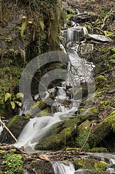 Beautiful waterfall in O Courel, Galicia, Spain photo