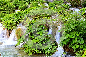 Beautiful waterfall on Plitvice lakes, national park, Croatia in spring and summer. beautiful Croatian waterfalls, mountains and