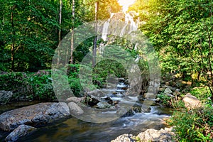 A beautiful waterfall  in the rainforest