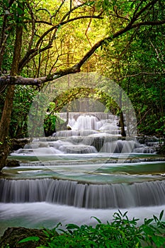 A beautiful waterfall  in the rainforest