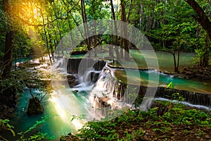 A beautiful waterfall  in the rainforest.