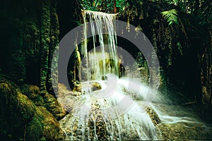 Beautiful waterfall in the rainforest jungle