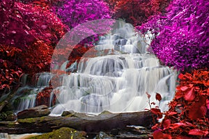 Hermoso cascada en selva sobre el banera montana 