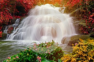 Hermoso cascada en selva sobre el banera montana 